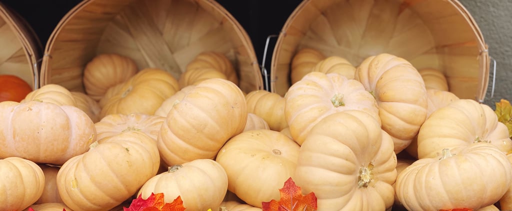 Trader Joe's Has Big and Small Pumpkins For 2021 Fall Decor