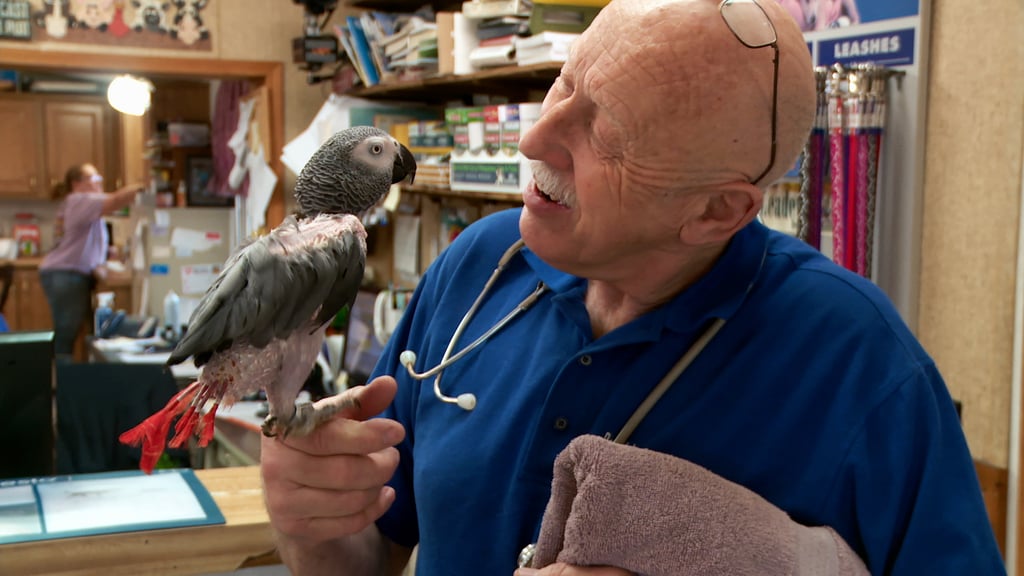 The Incredible Dr. Pol