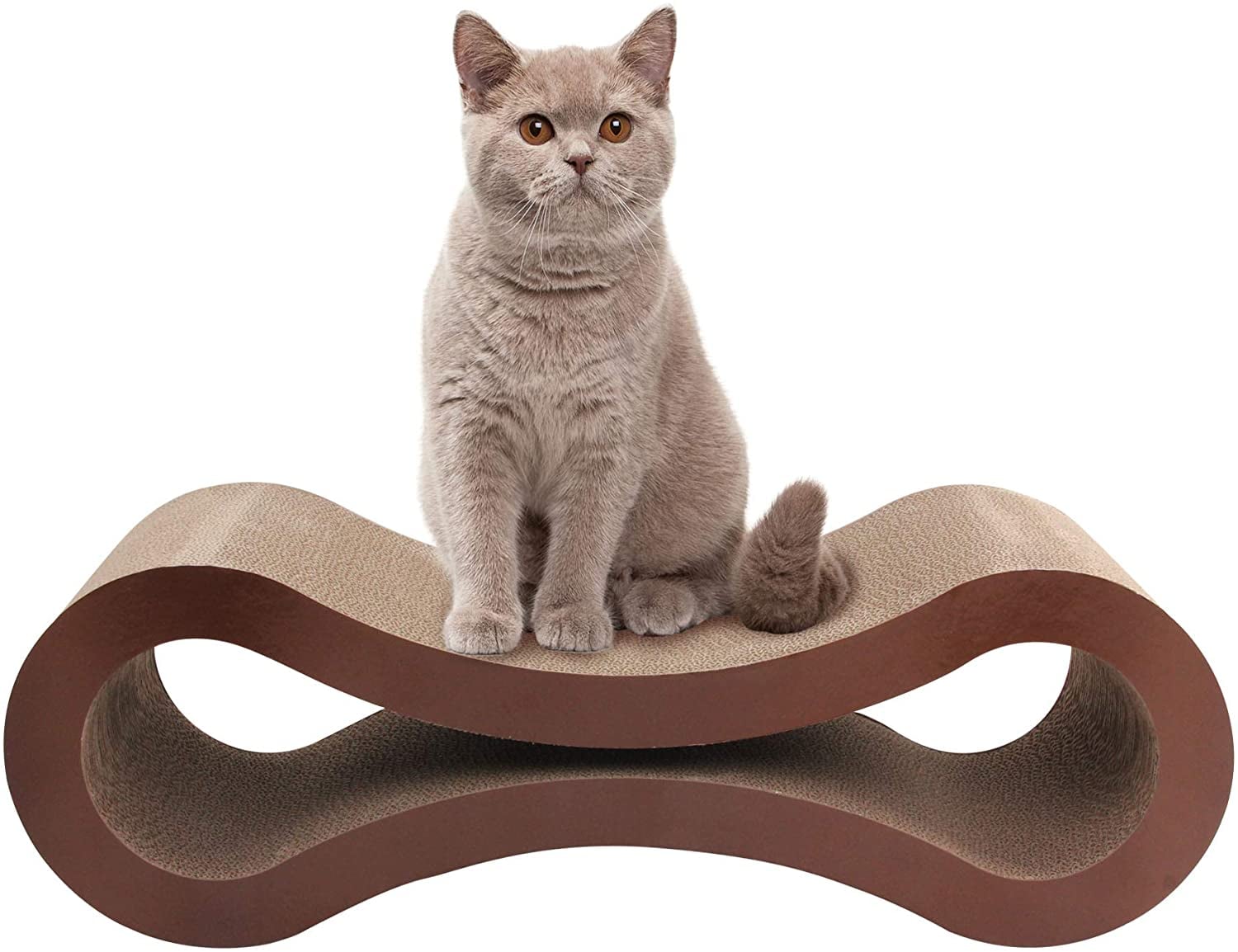 Best Products For New Cat Owners Popsugar Pets