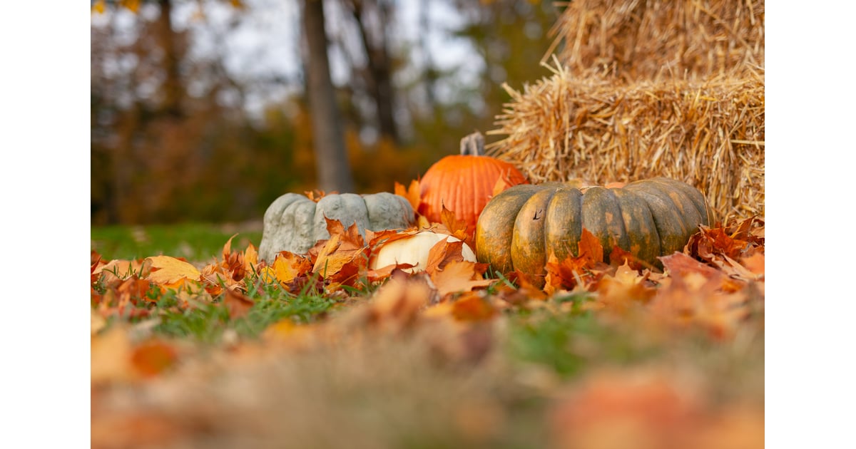 fall zoom background images