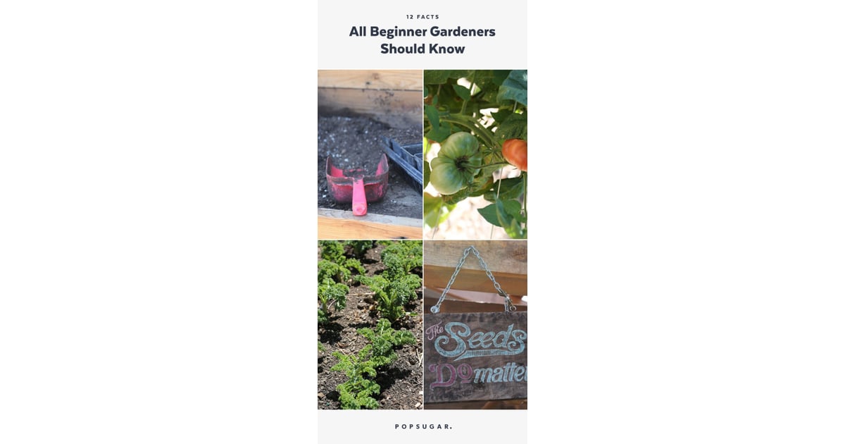 Gardening Tips For Beginners Popsugar Food Photo 15