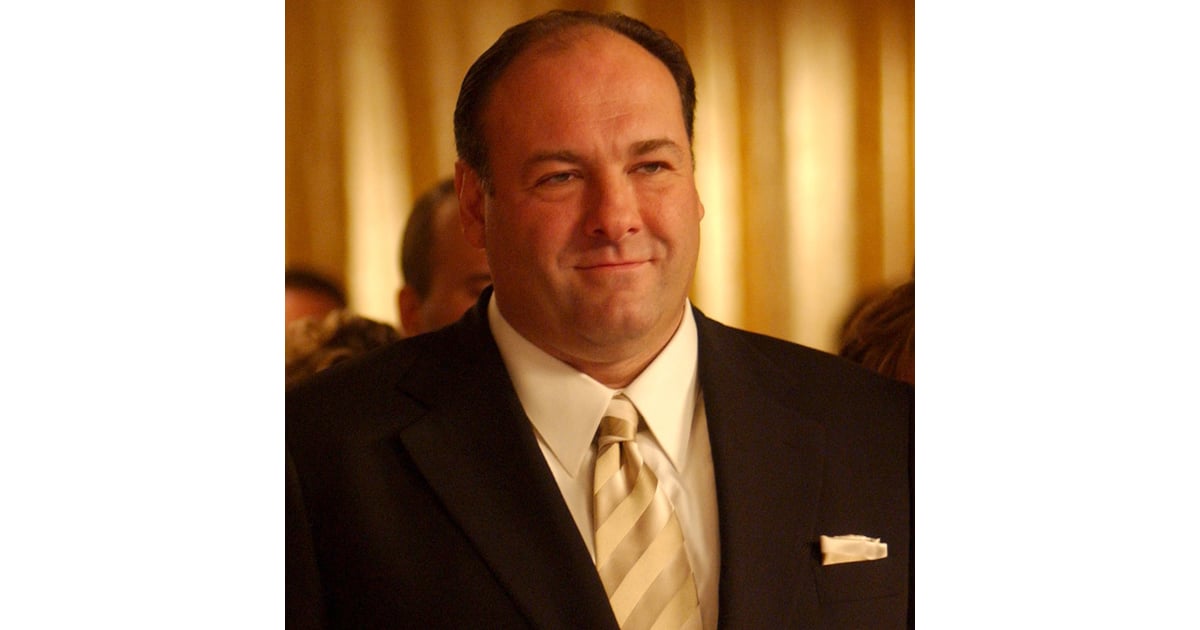 Tony Soprano The Sopranos Job Waste Management Consultant Median