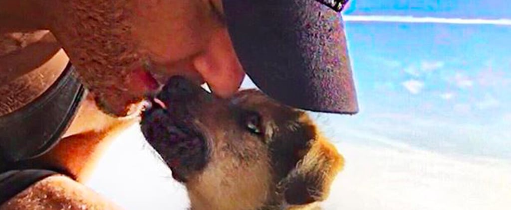 Dane Cook's Dog, Chopper