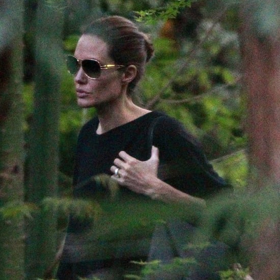 Brad Pitt and Angelina Jolie's Weekend Getaway | Pictures