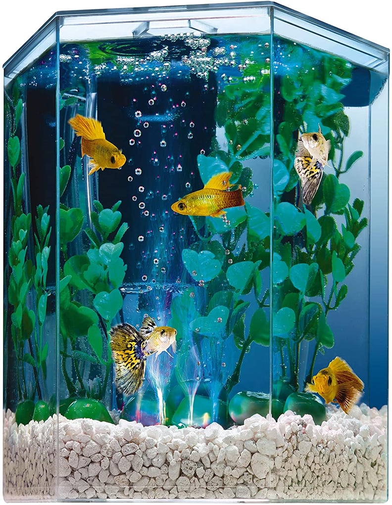 Tetra Bubbling LED Aquarium