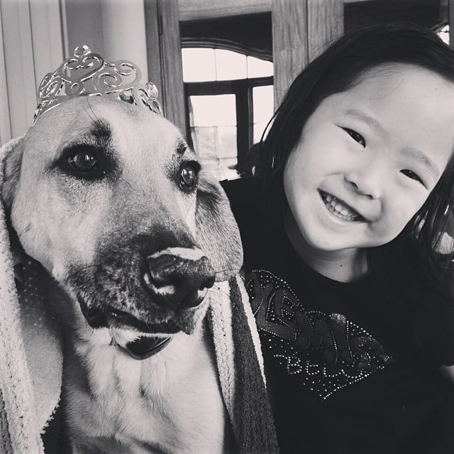 Naleigh Kelley helped get her pooch in the Oscars mood with a sparkly tiara.
Source: Instagram user joshbkelley