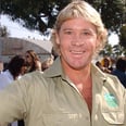 The Details About Steve Irwin's Tragic Death Will Still Make You Uneasy
