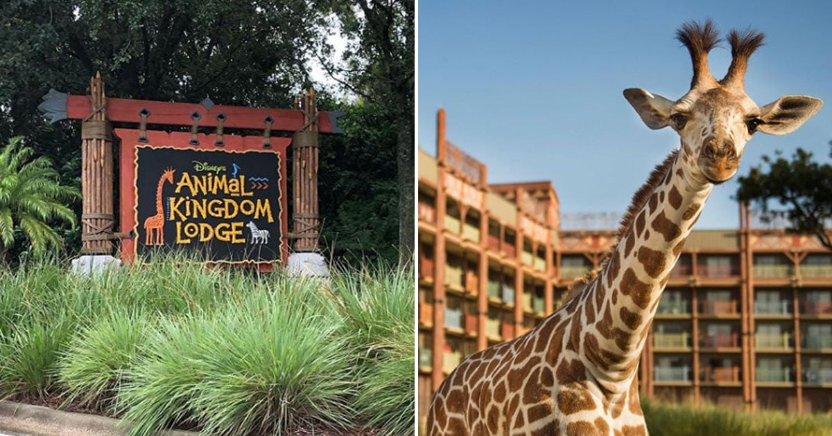 Fun Facts About Disney's Animal Kingdom Lodge | POPSUGAR Smart Living