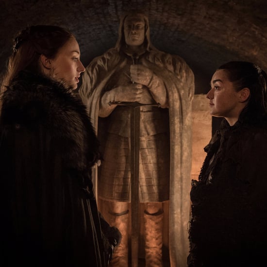 Reactions to Arya Stark Returning to Winterfell