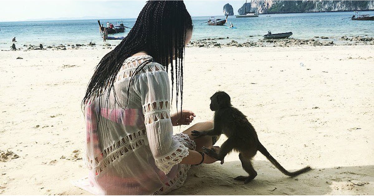 Monkey Beach In Thailand Popsugar Smart Living