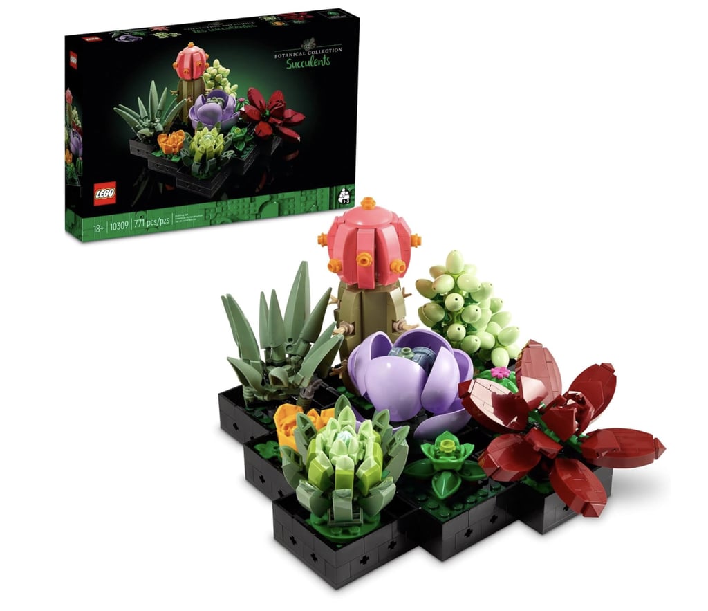 Lego Botanicals Succulents Building Set ($40, originally $50)
If budget permits, this floral building set will win anyone over. Not only are the Legos fun to build, but the finished product is pretty enough to display on its own (and it's currently on sale).
