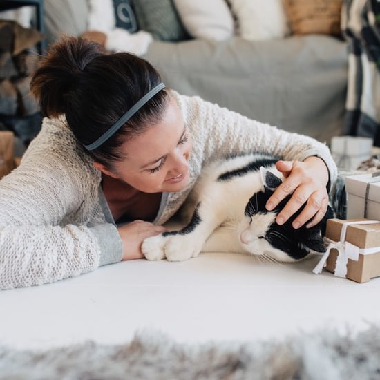 Gifts For Cat-Lovers