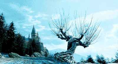 Dirty Harry Potter Pickup Lines