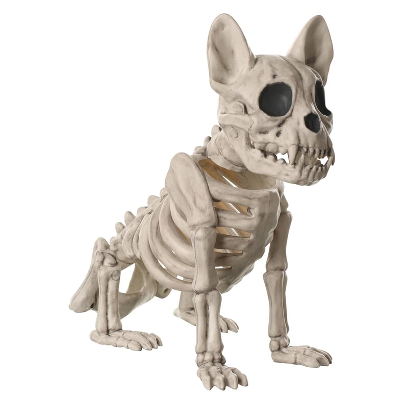 Halloween French Bulldog Skeleton