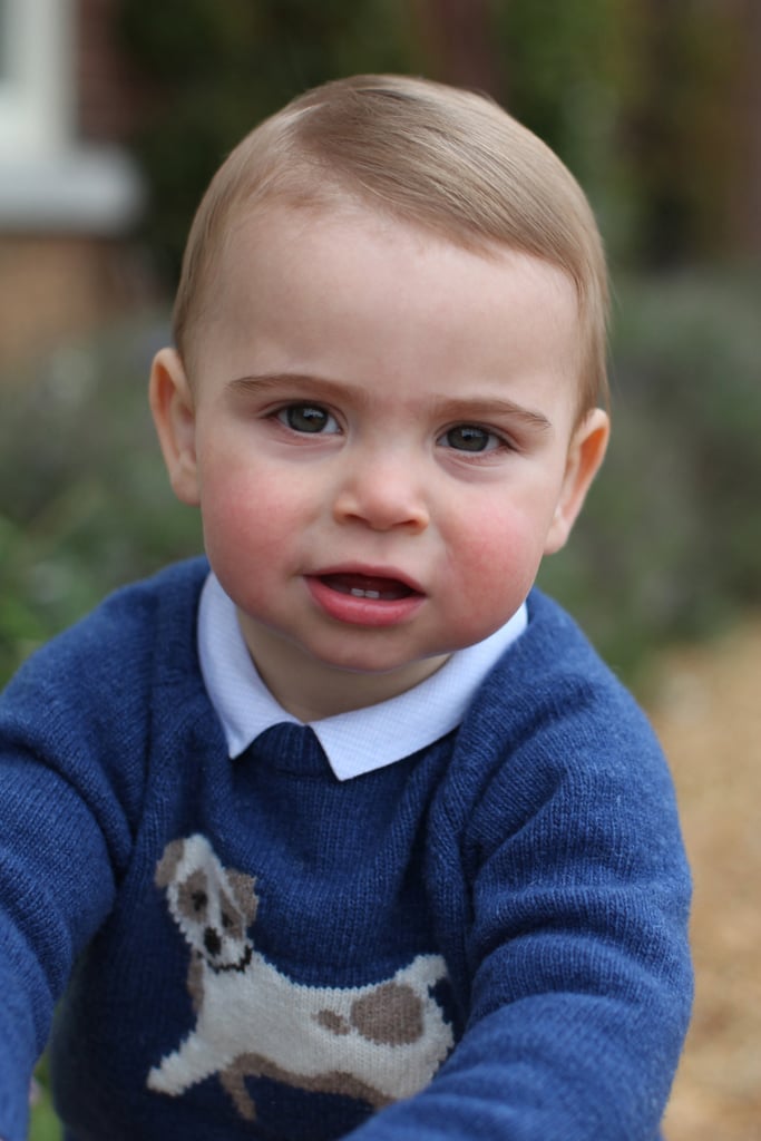 Prince Louis's First Birthday Portraits