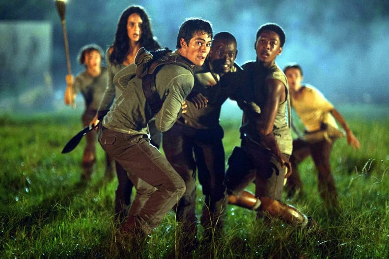 The Maze Runner