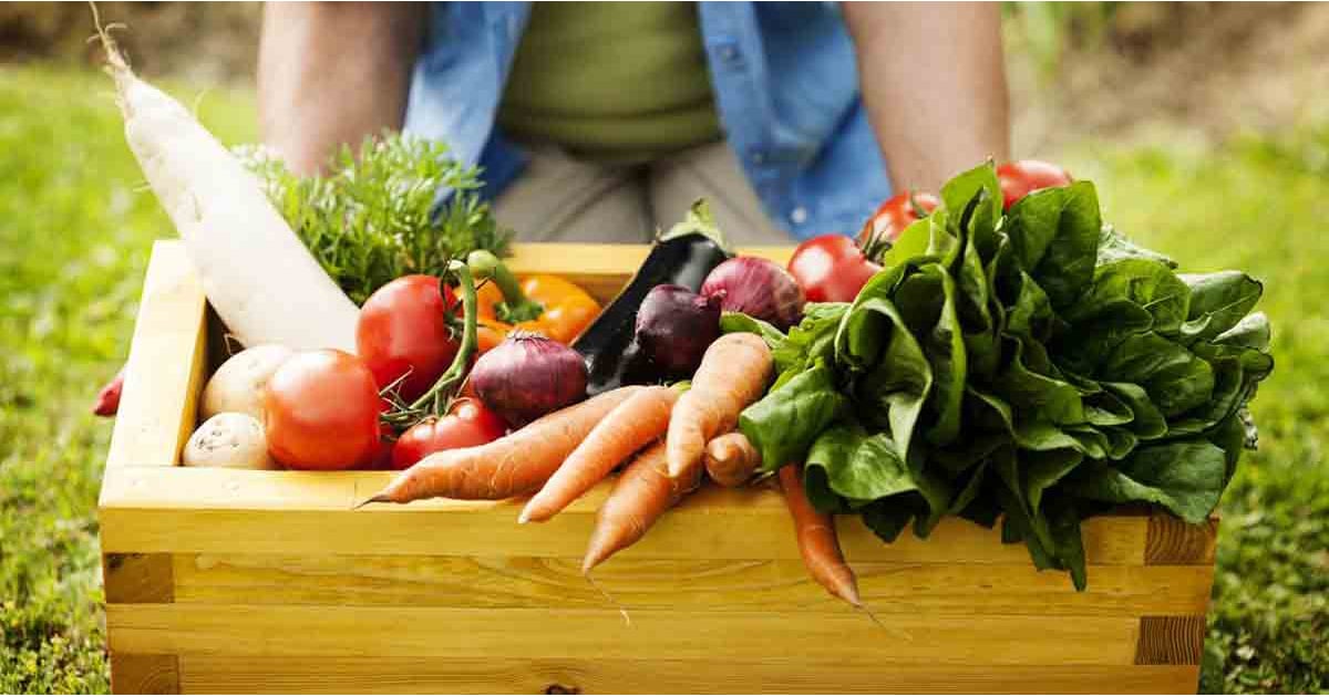 Foods That You Eat Unlimited Amounts Of POPSUGAR Fitness