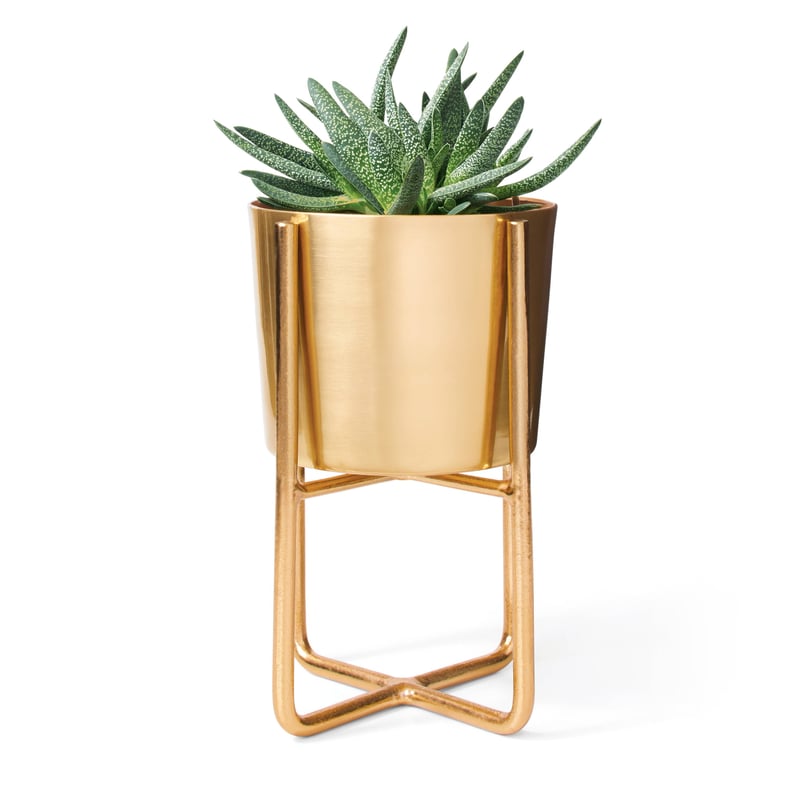 Gold Planter