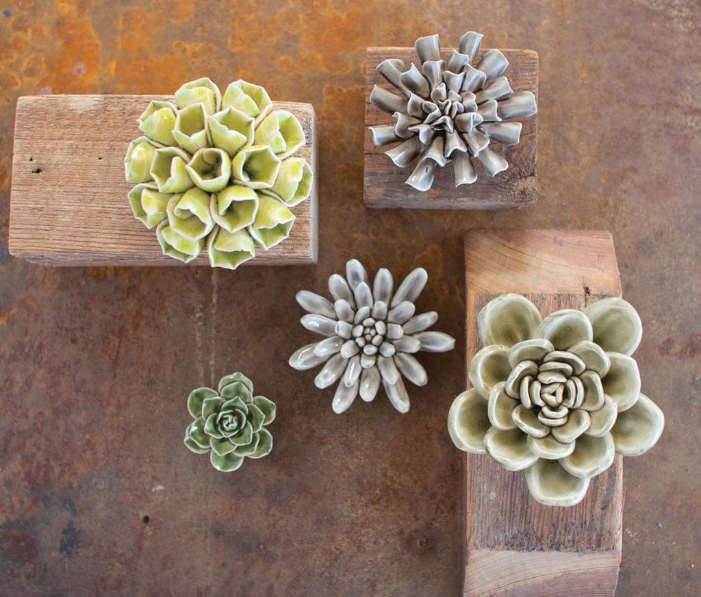 Bellacor Ceramic Succulents