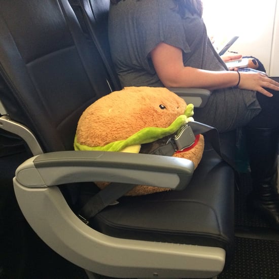 Stuffed Burger Rides on a Plane