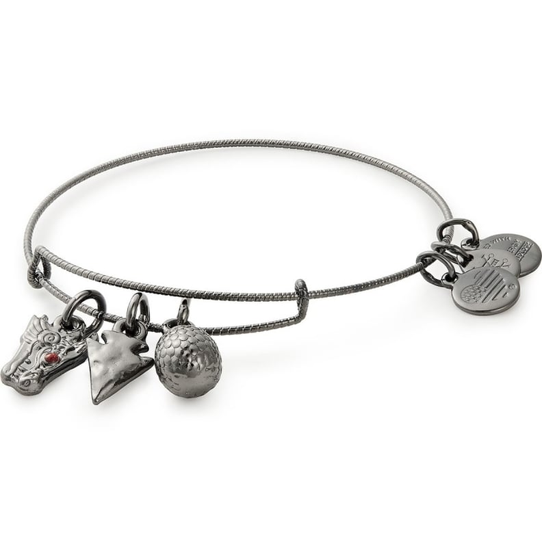 Alex and Ani Targaryen Charm Bangle