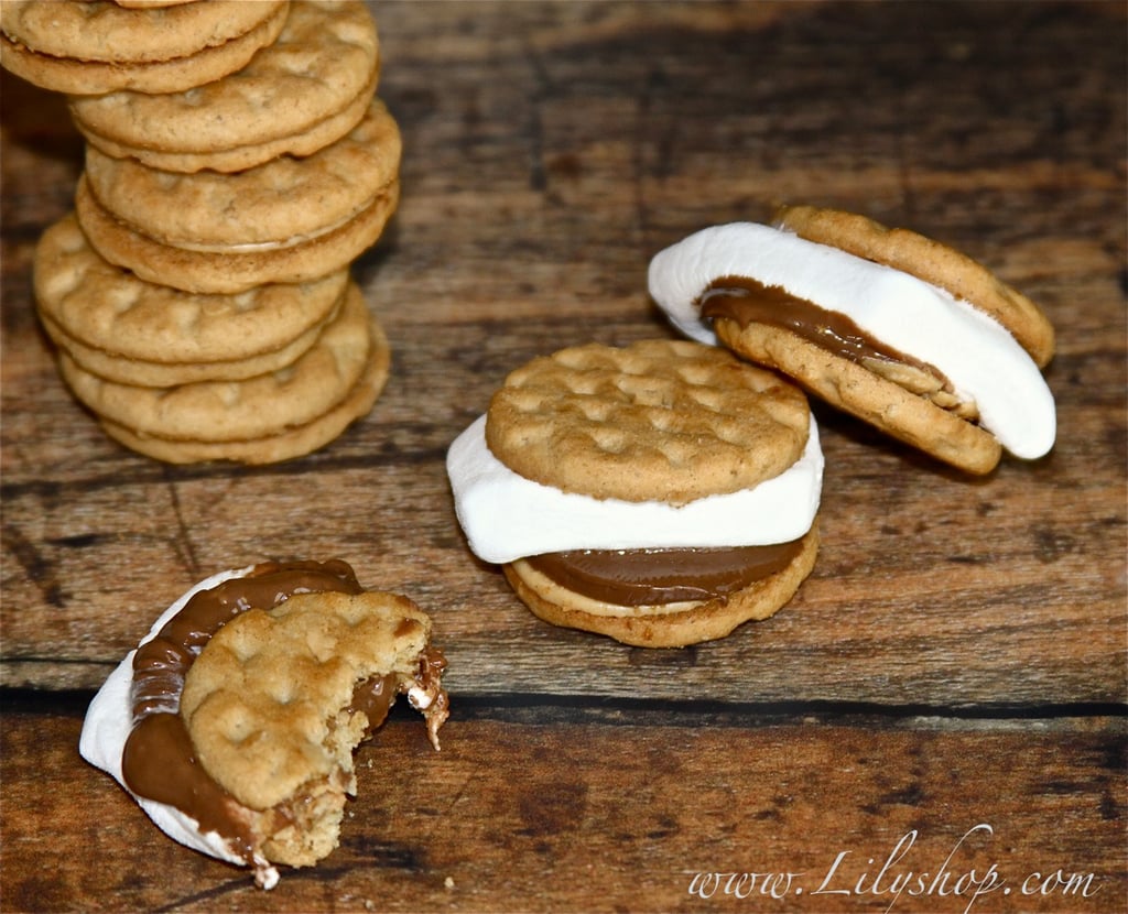 Girl Scout Cookie S'mores