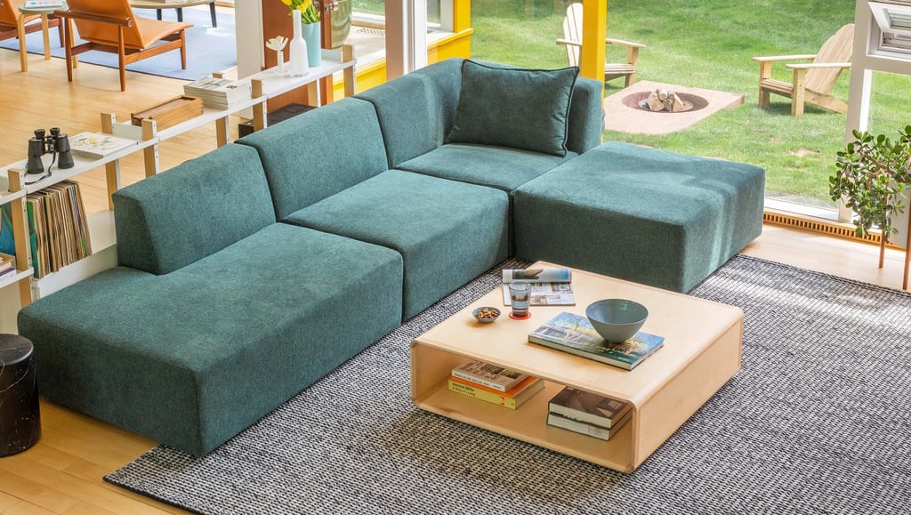 Best Area Rug For Pets