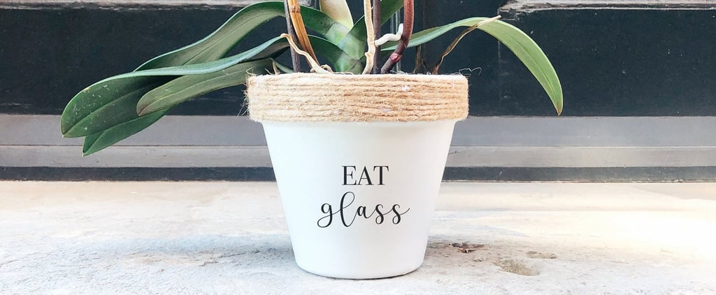 Schitt's Creek Planters on Etsy