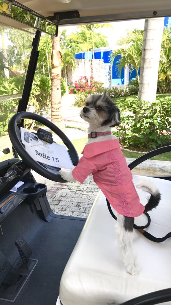 I checked in to my Luxury Junior Suite at Eden Roc Cap Cana and was given a personal golf cart to get to my room, the beach, and anywhere else I wanted on the beautiful property!