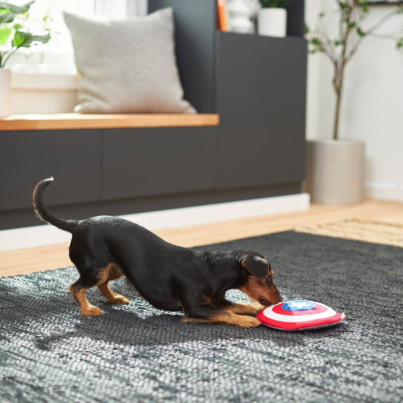 Marvel's Captain America's Shield Round Plush Squeaky Dog Toy