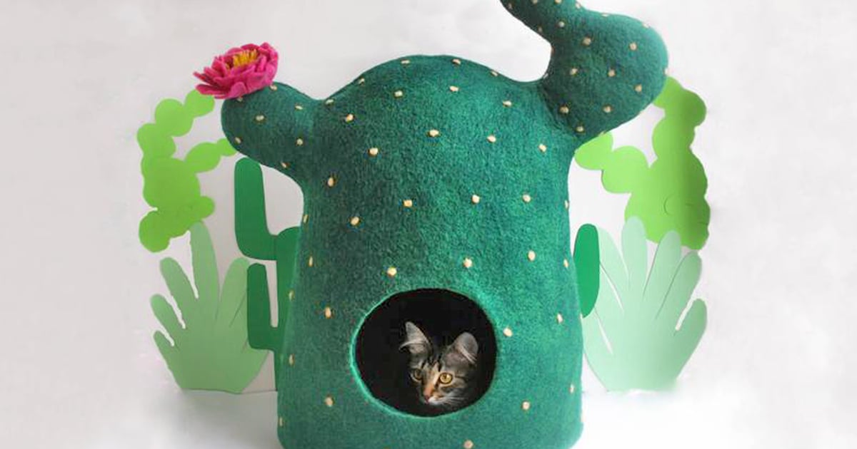 human sized cat cave