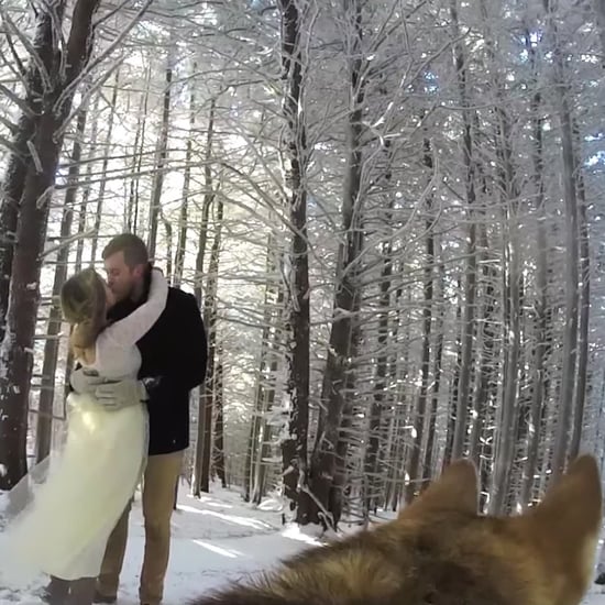 Dog Who Filmed Her Owner's Wedding