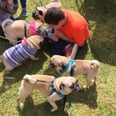 Sister Planned a Surprise "Pug Party" With 80 Dogs For a Bullied Boy With Autism