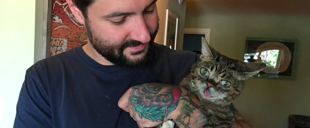 Facts About Lil Bub