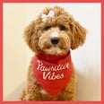 13 Doggone-Cute Old Navy Bandanas and Tees, So Your Pup Can Summer in Style