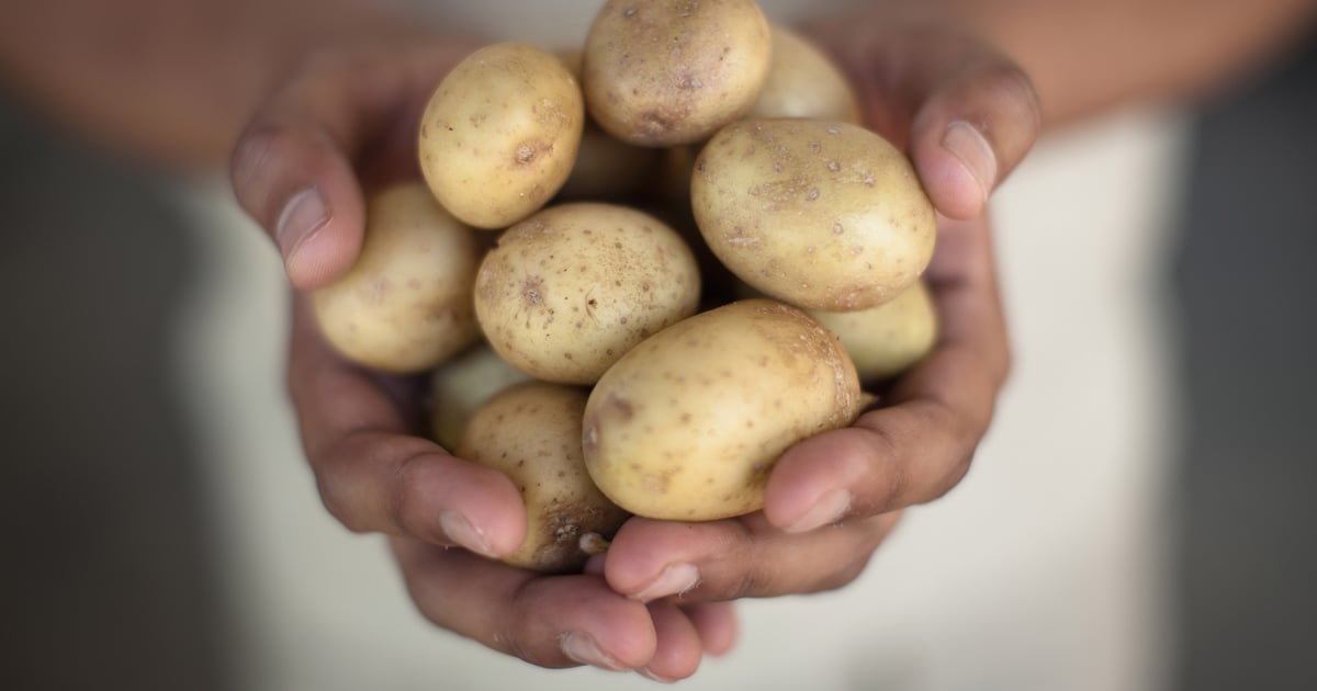 Are Potatoes Good for Weight Loss?
