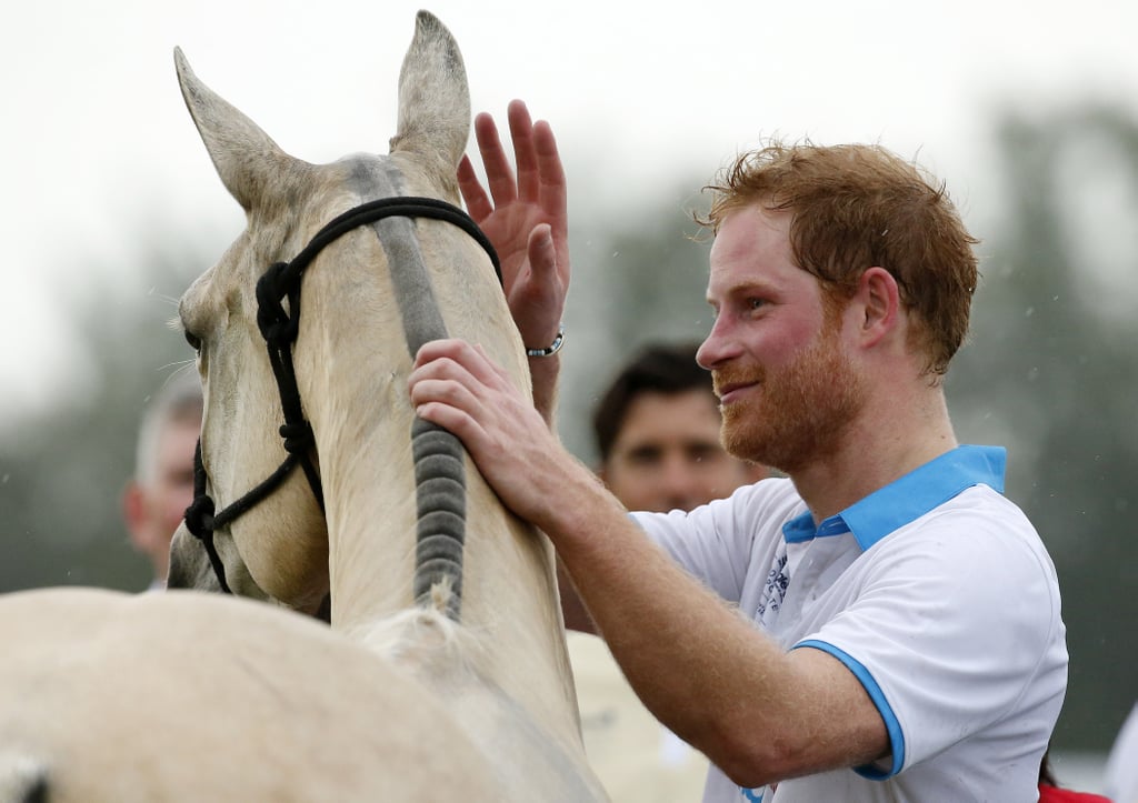 Prince Harry With Animals Pictures