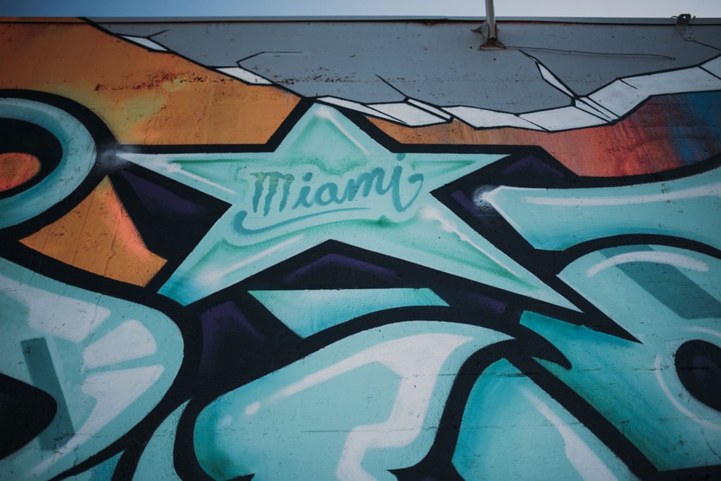 Engagement Photos at Wynwood Walls