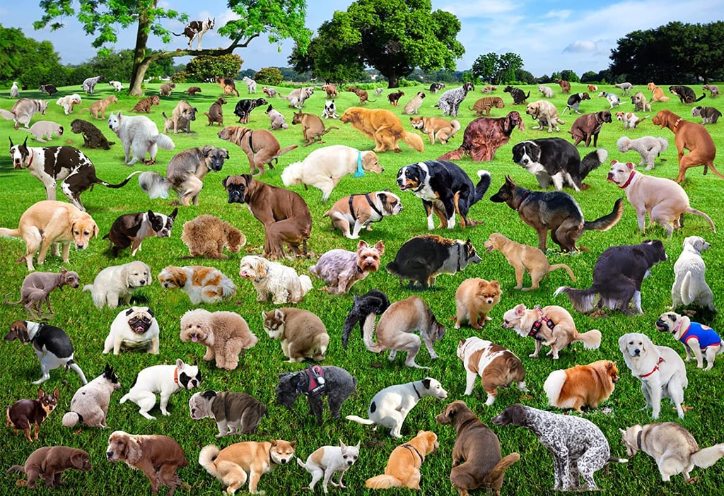 1000 Piece Puzzle, 101 Pooping Puppies ($18, originally $20)
It's hard to top the sheer randomness of a puzzle featuring 101 pooping puppies. The best part? It'll keep them busy — and laughing — for hours as they piece it together, ideally with a glass of wine nearby.