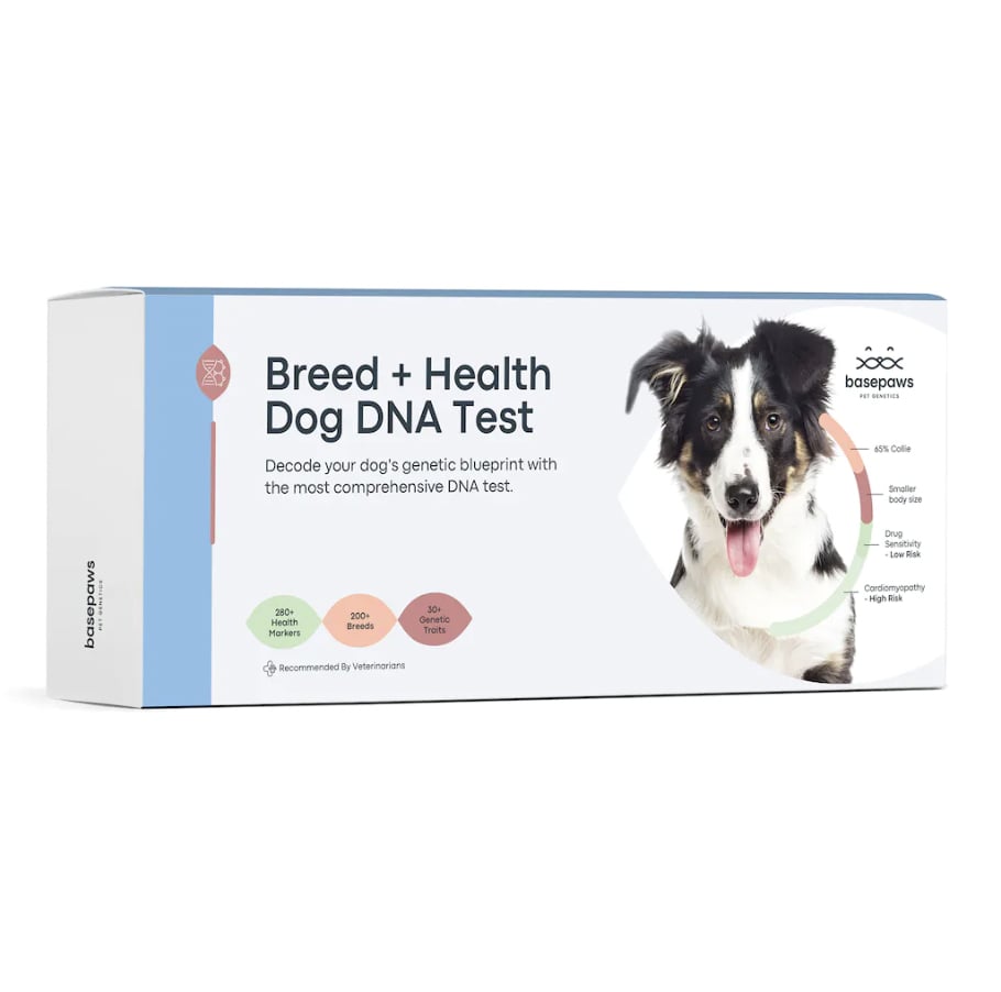 Basepaws Breed + Health Baseline for Dogs ($90, originally $149)
If they've ever been curious to learn more about their dog's genetics or biological makeup, get them this cool DNA test kit. The advanced DNA test includes unique health insights and markers that'll help them get to know their pets on an even deeper level.