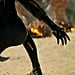 Wakanda Forever: Who Is the New Black Panther? Theories