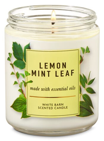 Lemon Mint Leaf Single Wick Candle