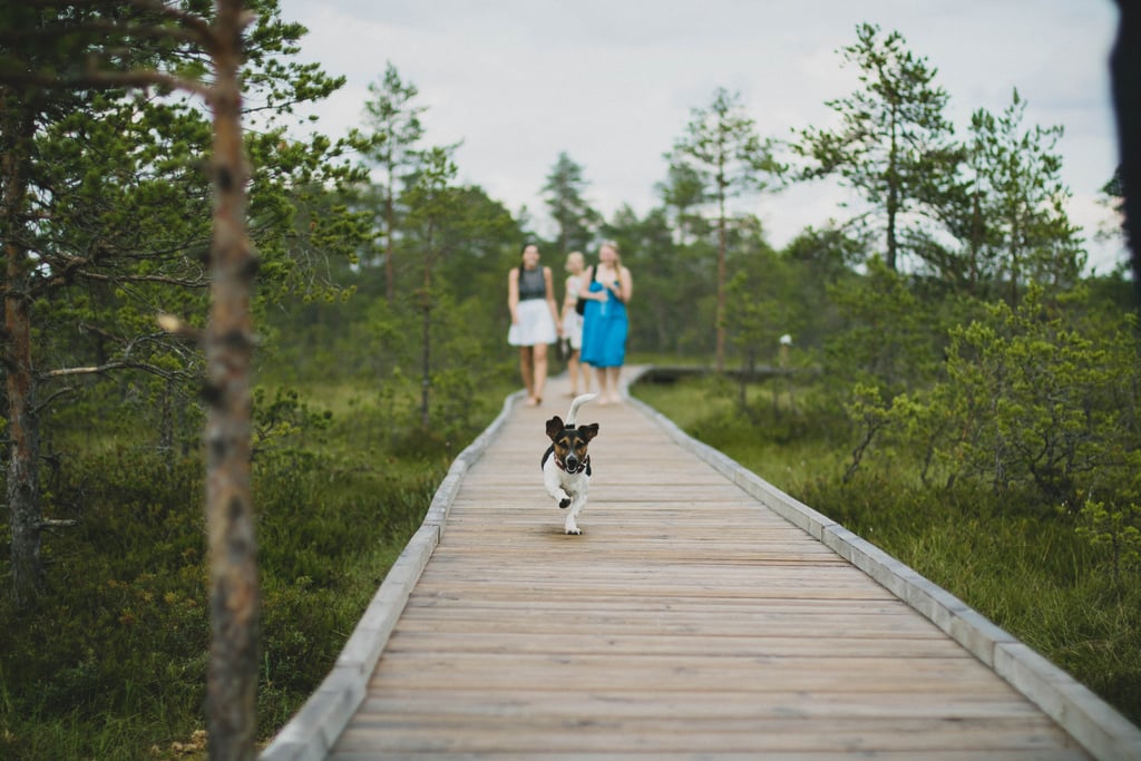 Limit Your Walks to Cooler Times of Day