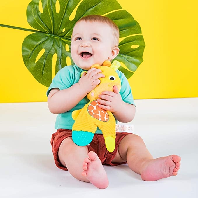 Plush Teething Toy: Bright Starts Crinkle Giraffe Plush Teething Baby Toy