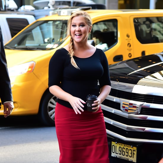 Amy Schumer Fat-Shaming Response After Barbie Casting
