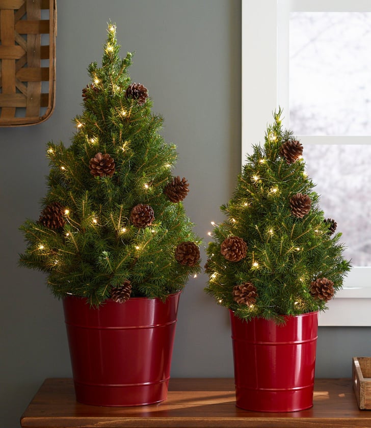 Woodland Tabletop Live Tree With Lights Best Live Tabletop Christmas Trees 2022 POPSUGAR