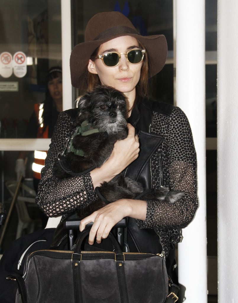 Rooney Mara touched down at LAX airport with her dog on Friday.