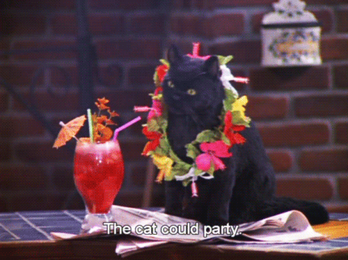 When You Suddenly Get A Burst Of Energy On A Saturday
