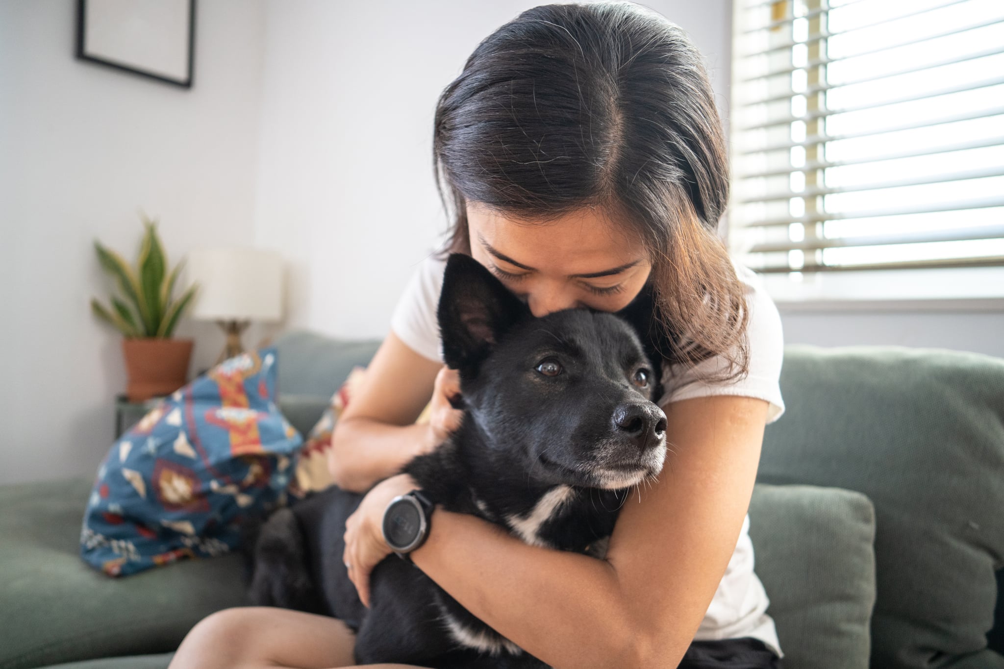 Young woman hugging dog on living room sofa