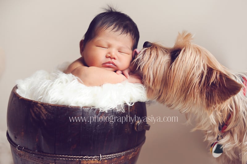Adorable Newborn and Pet Photos